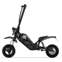 Acer Electrical Scooter Predator Extreme | 20km/hr Acer