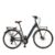Bici Elettrica Da Città Wayscral Everyway E250 28 Pollici Grigio Wayscral